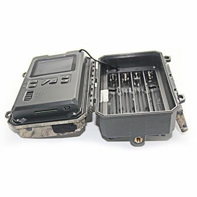 دوربین فعال حرکت حیات وحش