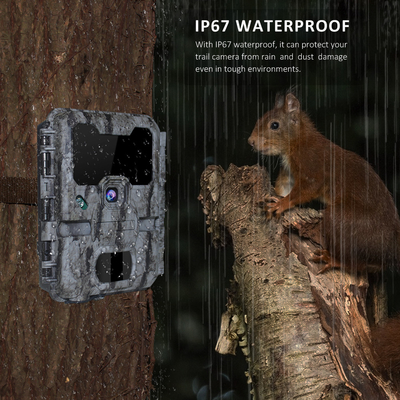 LEDهای 940 نانومتری Wifi Trail Camera APP کنترل از راه دور بدون درخشش نامرئی