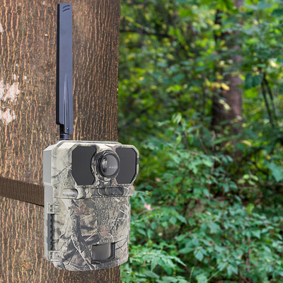 برنامه 30 مگاپیکسلی بدون GLOW cellular GPS TRAIL CAMERA COLOR CAMO