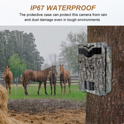 دوربین جدید KW698A 4K Trail با سنسورهای دوگانه IP67 بدون درخشش باتری آلکائین AA دوربین شکار در فضای باز Wildlife