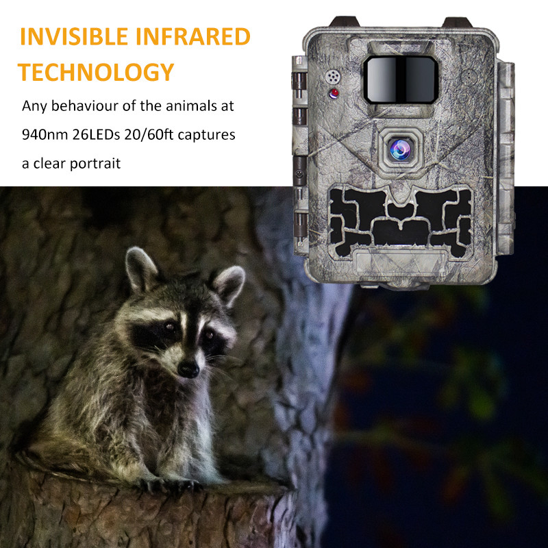 KW561 Trail Infra Cam Mini 30MP 0.25s سرعت وضوح ویدئو 4K سنسور آبپاش CMOS SD Me