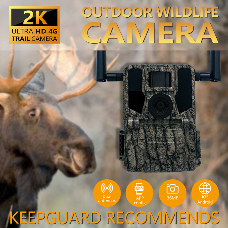 GMS پیشرفته برای 4G دوربین شکار KW897 با آنتن های دوگانه 100ft Night Range Night Vision 36MP 2K ویدیو برای تحقیقات حیات وحش