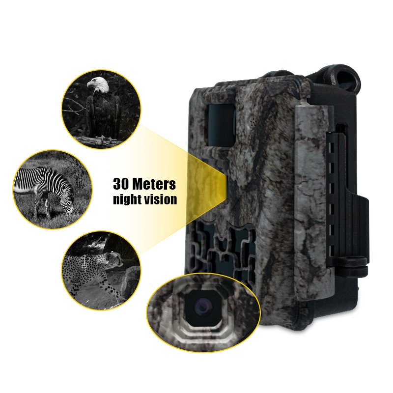 دوربین مسیر حیات وحش بدون نور 30MP تصویر 1080P ویدیو ضد آب IP67 تا 512GB ذخیره سازی قیمت رقابتی دوربین شکار