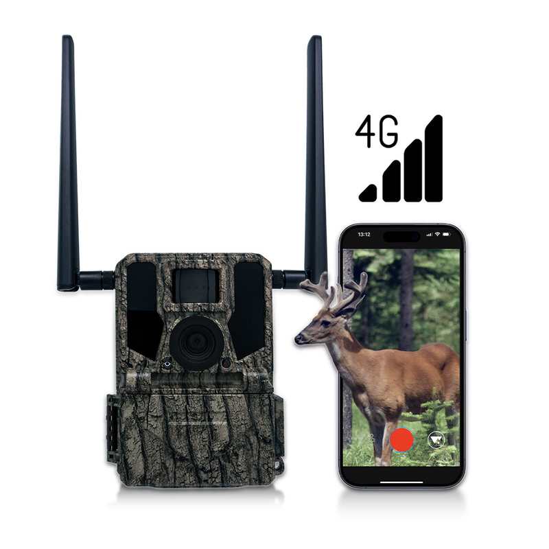 دوربین های شکار و مسیر پانل خورشیدی 4G دوربین بی سیم KW897 با آنتن دوگانه 100 فوت شبانه 36MP 2K ویدیو در 30fps