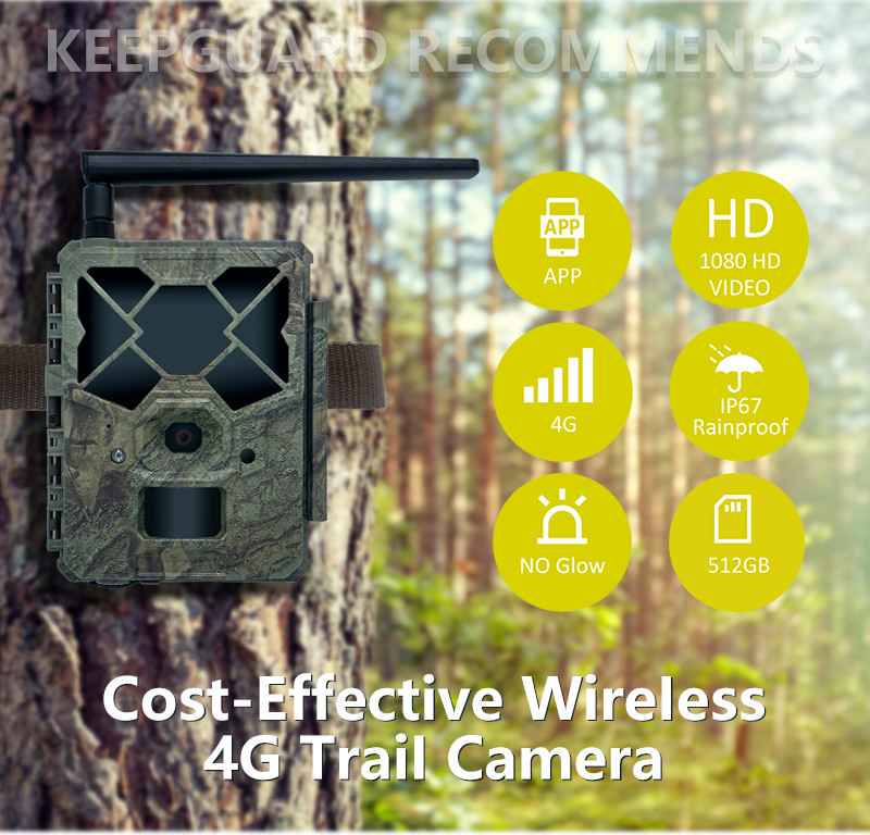 Game&trail Camera 4G KW886 با آنتن دوربین شکار مقرون به صرفه 24MP 1080P Night Vision 0.1s Response Time Game Camera